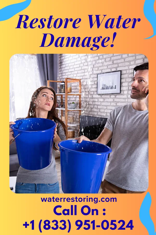 water restoration Sentinel Disaster Cleanup & Associates Petersburg