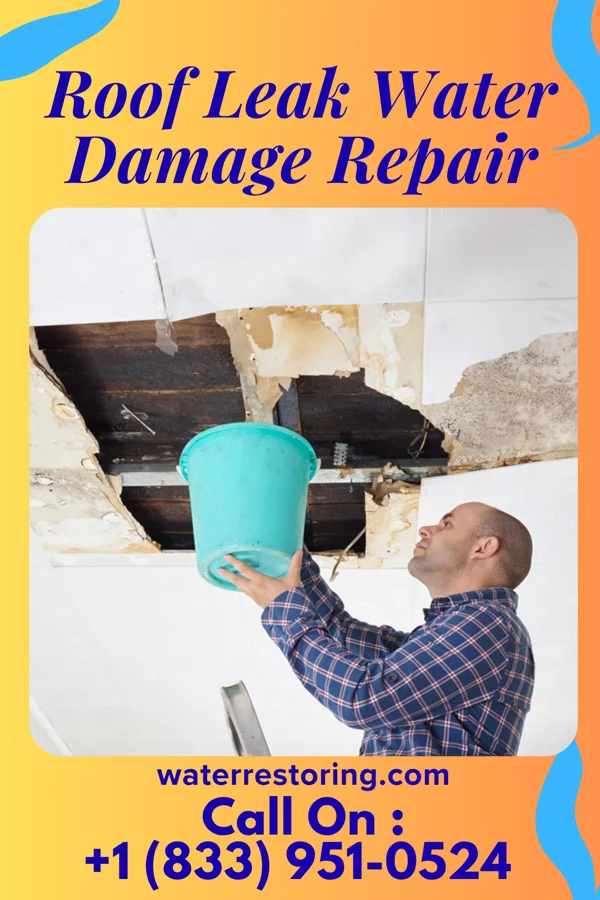 Roof Leak Water Damage Repair in Petersburg, NE